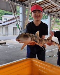 柴山漁港で魚