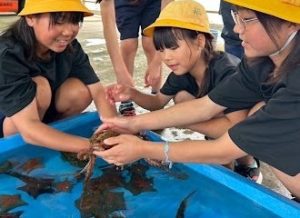 柴山漁港で魚を触る