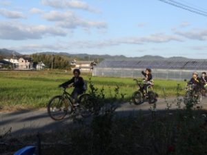 最適ルートを考えて自転車でいざ市役所へ！