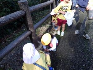 どんぐりを見つけたよ!
