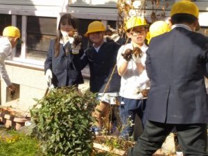 掘った山の芋を見せる