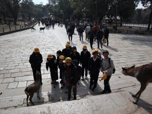 東大寺南大門と鹿